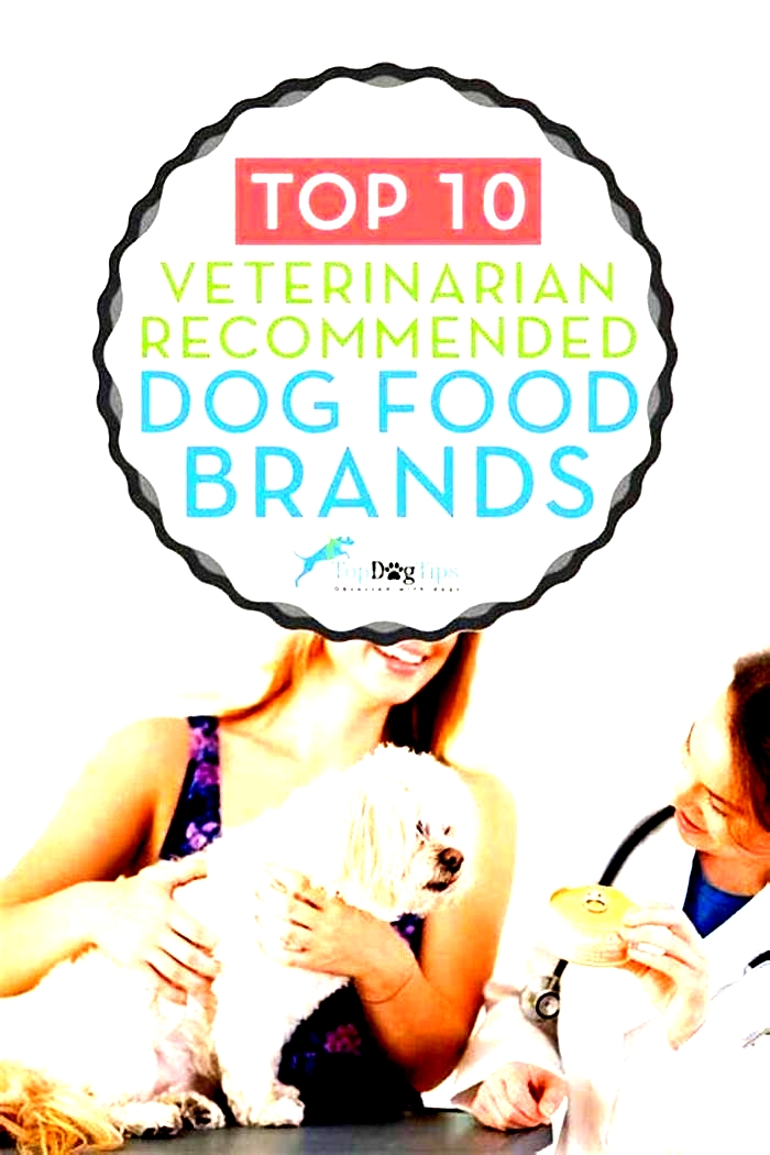 What is the number 1 vet recommended dog food