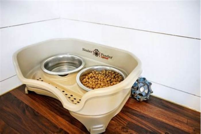 What is the safest dog food bowl