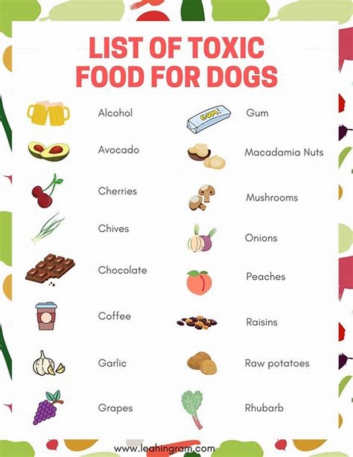 What meat is toxic to dogs?