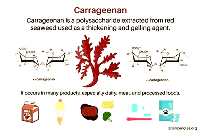 What other names does carrageenan go by