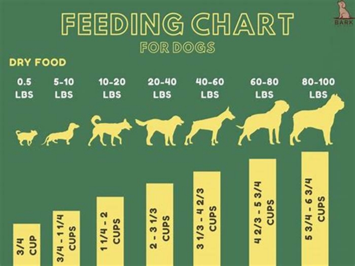 What percentage of meat should be in dry dog food?