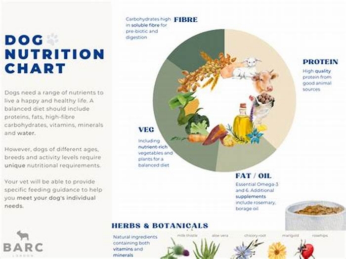 What percentage of protein should be in dog food?