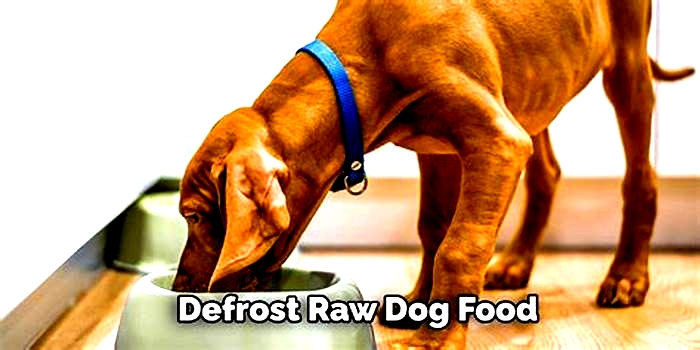 What to do if you forget to defrost dogs raw food