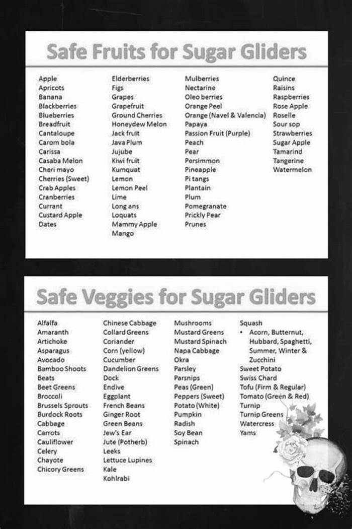 What veggies can a sugar glider eat