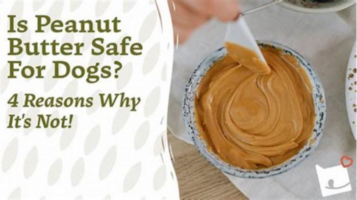 Which brand of peanut butter is not safe for dogs?