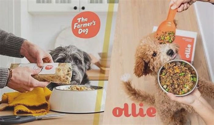 Which is cheaper, Ollie or Farmer's dog?