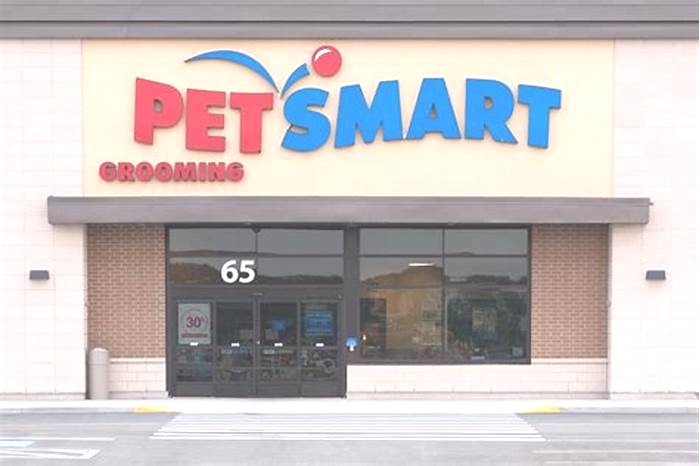 Who bought out PetSmart?