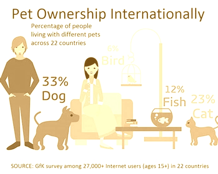 Who owns just for dogs?