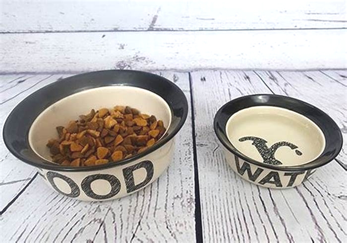 Why are ceramic bowls better for dogs?