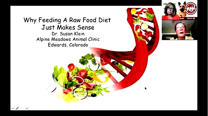 Why are vets against raw diets?