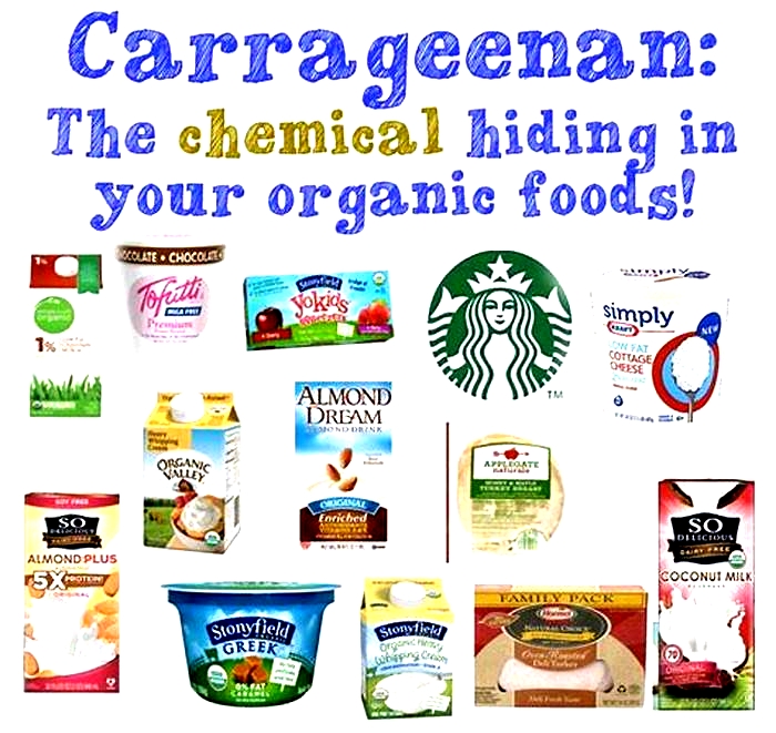 Why avoid carrageenan