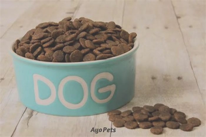 Why do people soak dog kibble