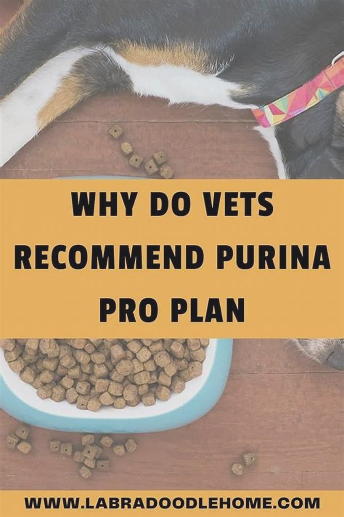 Why do vets always recommend Purina?