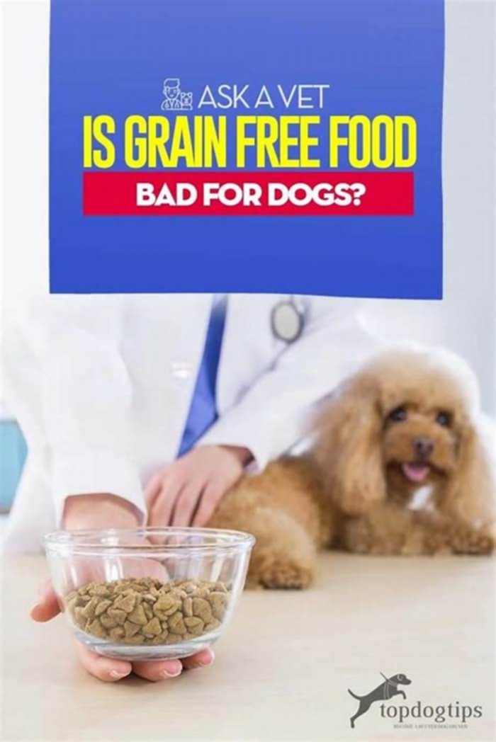 Why do vets hate grain free dog food?