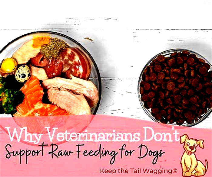 Why do vets hate raw feeding