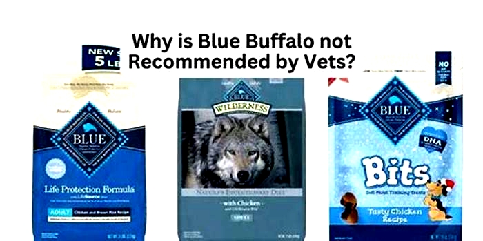 Why do vets not recommend Blue Buffalo?