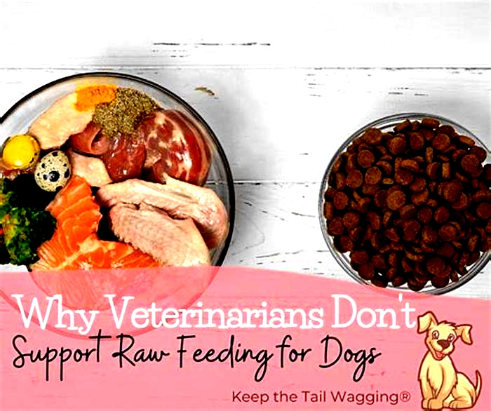 Why do vets say not to feed raw?