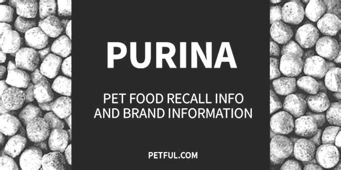 Why is Purina being recalled?