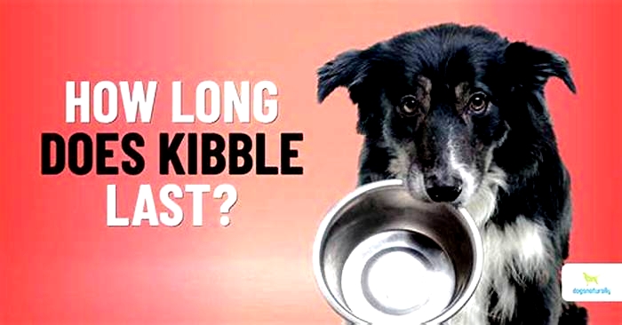 Why is dog kibble so expensive?