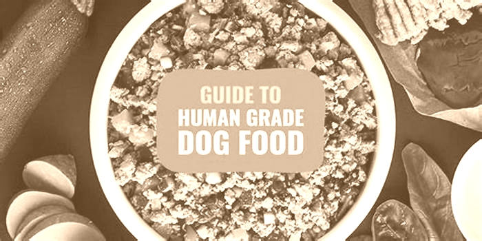 Why is human grade dog food better