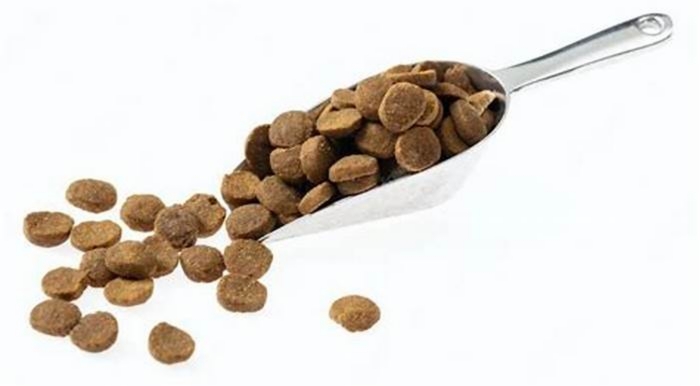 Why is pet food called kibble?