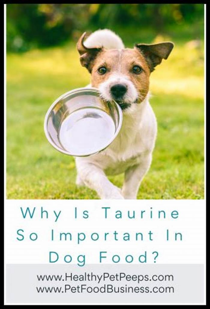 Why is taurine in pet food