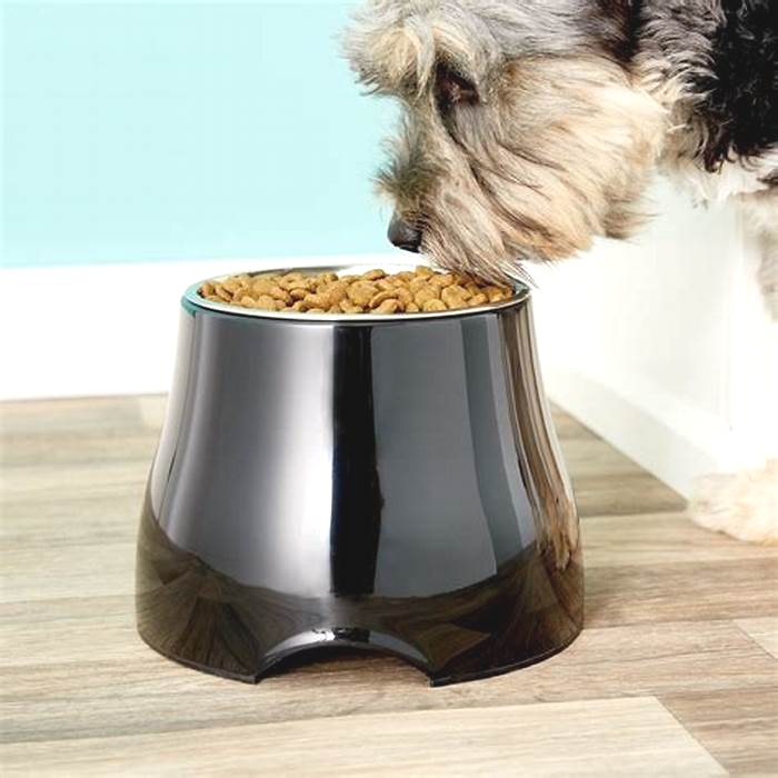 Why not to use elevated dog bowls?