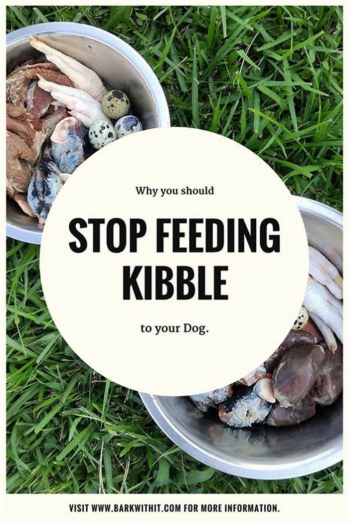 Why you shouldn't feed kibble?